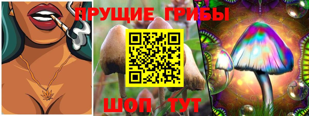 Назрань  Галлюциногенные грибы Psilocybine cubensis  Вход с VPN  Псилоцибиновые грибы Psilocybe 